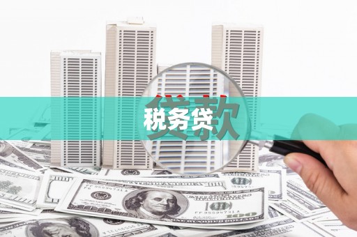 宁武税务贷