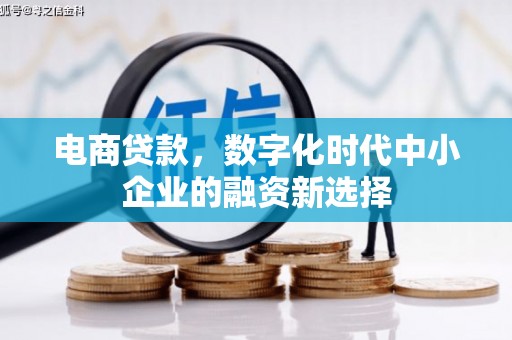 宁武电商贷款，数字化时代中小企业的融资新选择