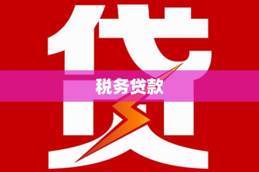 宁武税务贷款
