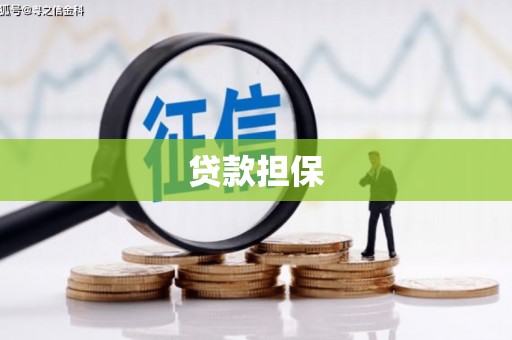 宁武贷款担保