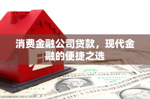 宁武消费金融公司贷款，现代金融的便捷之选