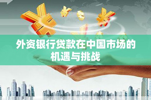 宁武外资银行贷款在中国市场的机遇与挑战