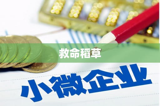 宁武救命稻草