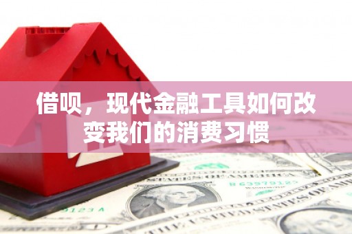 宁武借呗，现代金融工具如何改变我们的消费习惯