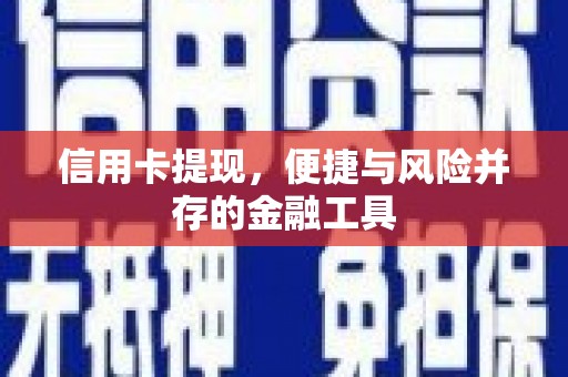 宁武信用卡提现，便捷与风险并存的金融工具