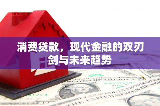 宁武消费贷款，现代金融的双刃剑与未来趋势