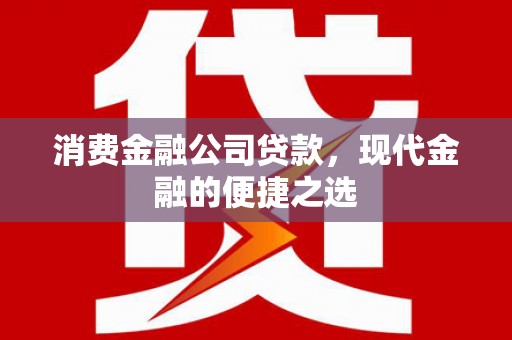 宁武消费金融公司贷款，现代金融的便捷之选