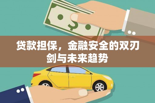 宁武贷款担保，金融安全的双刃剑与未来趋势