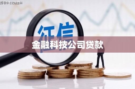 宁武金融科技公司贷款