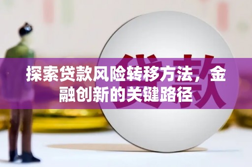 宁武探索贷款风险转移方法，金融创新的关键路径