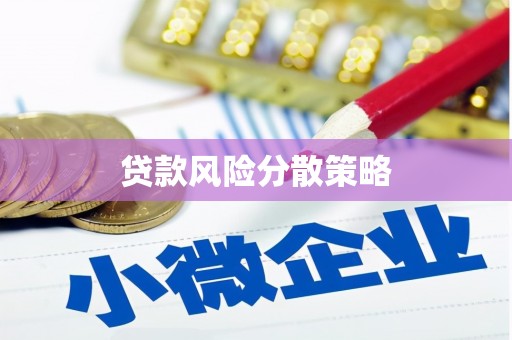 宁武贷款风险分散策略