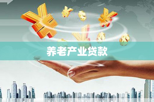 宁武养老产业贷款