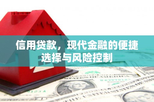 宁武信用贷款，现代金融的便捷选择与风险控制