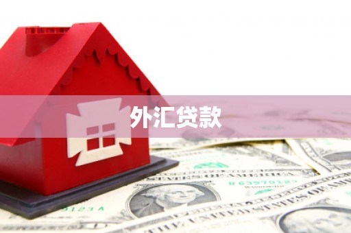 宁武外汇贷款