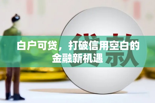 宁武白户可贷，打破信用空白的金融新机遇