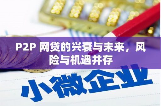 宁武P2P 网贷的兴衰与未来，风险与机遇并存