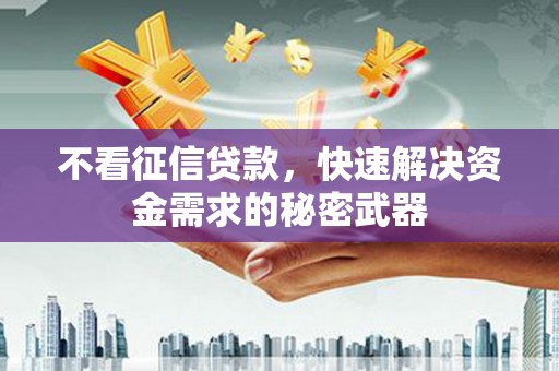 宁武不看征信贷款，快速解决资金需求的秘密武器