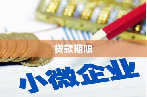 宁武贷款期限