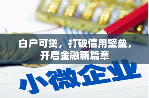 宁武白户可贷，打破信用壁垒，开启金融新篇章