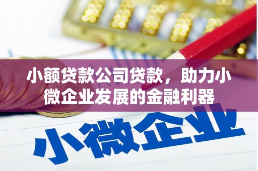 宁武小额贷款公司贷款，助力小微企业发展的金融利器