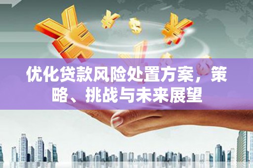 宁武优化贷款风险处置方案，策略、挑战与未来展望