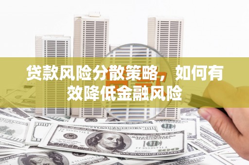 宁武贷款风险分散策略，如何有效降低金融风险