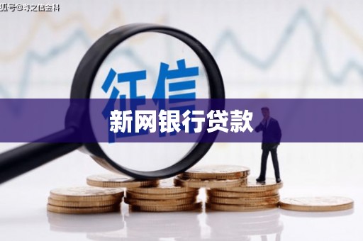宁武新网银行贷款