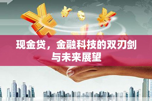 宁武现金贷，金融科技的双刃剑与未来展望