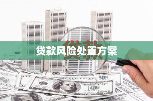 宁武贷款风险处置方案