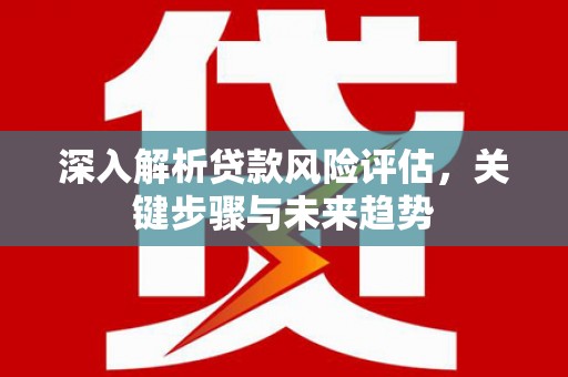 宁武深入解析贷款风险评估，关键步骤与未来趋势