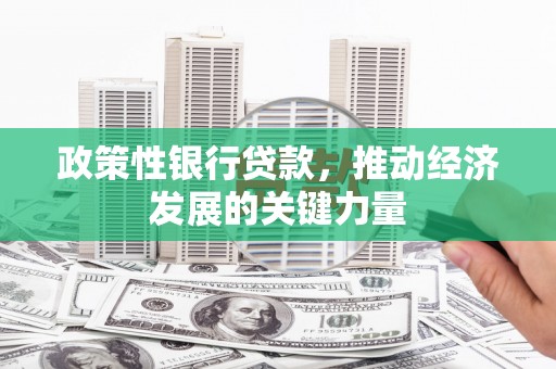 宁武政策性银行贷款，推动经济发展的关键力量