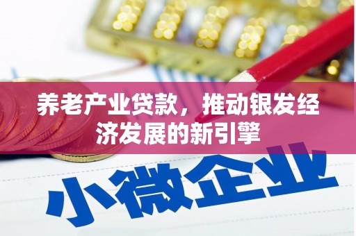 宁武养老产业贷款，推动银发经济发展的新引擎