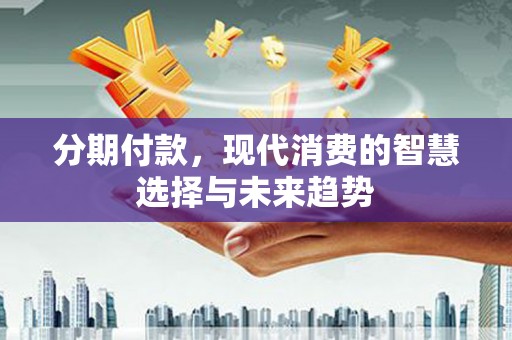宁武分期付款，现代消费的智慧选择与未来趋势