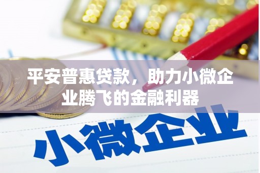 宁武平安普惠贷款，助力小微企业腾飞的金融利器