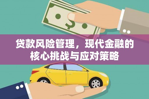 宁武贷款风险管理，现代金融的核心挑战与应对策略