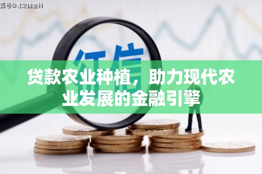 宁武贷款农业种植，助力现代农业发展的金融引擎