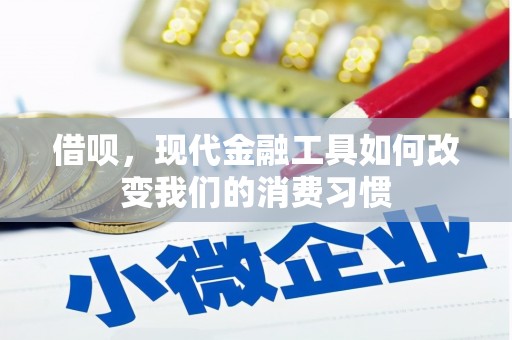 宁武借呗，现代金融工具如何改变我们的消费习惯