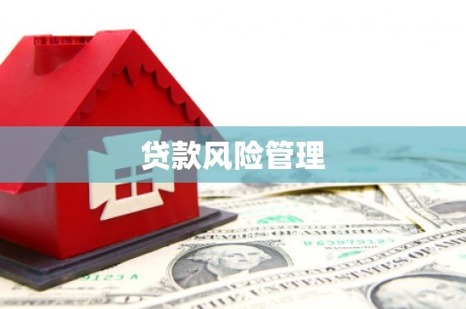 宁武贷款风险管理