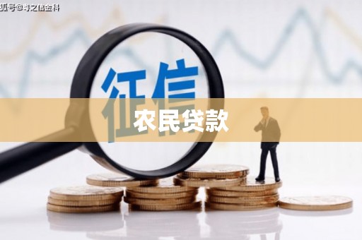 宁武农民贷款