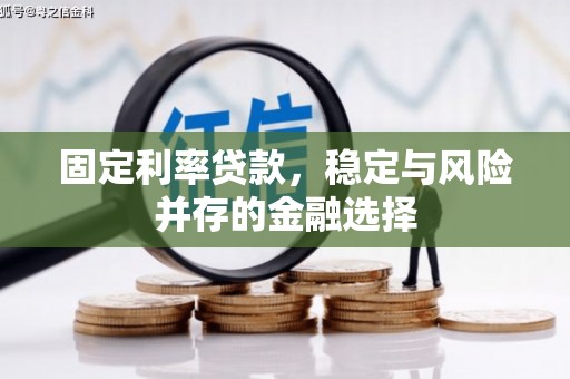 宁武固定利率贷款，稳定与风险并存的金融选择