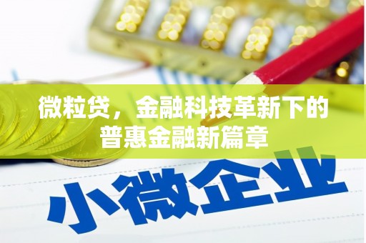 宁武微粒贷，金融科技革新下的普惠金融新篇章