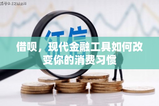 宁武借呗，现代金融工具如何改变你的消费习惯