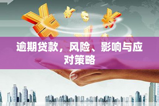 宁武逾期贷款，风险、影响与应对策略