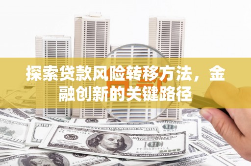 宁武探索贷款风险转移方法，金融创新的关键路径