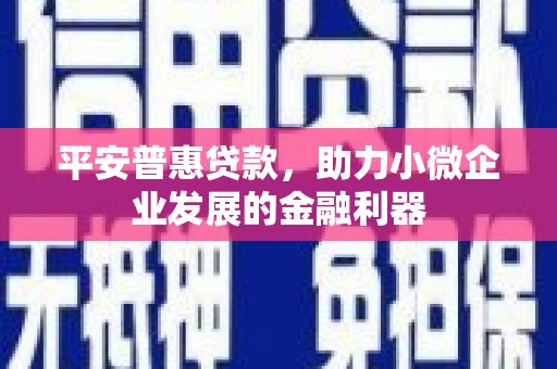 宁武平安普惠贷款，助力小微企业发展的金融利器