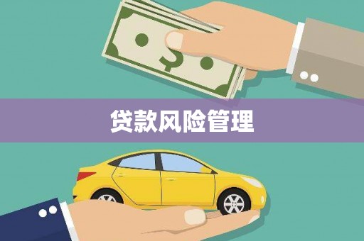 宁武贷款风险管理