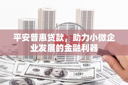 宁武平安普惠贷款，助力小微企业发展的金融利器