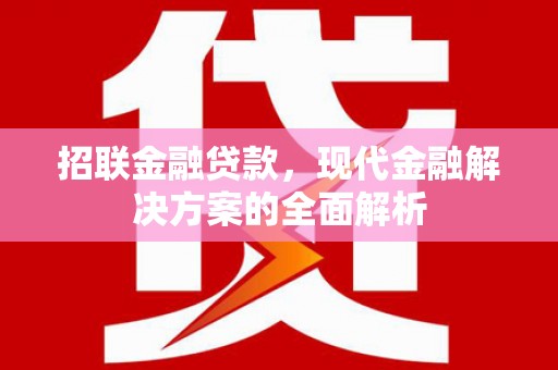 宁武招联金融贷款，现代金融解决方案的全面解析