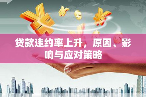 宁武贷款违约率上升，原因、影响与应对策略