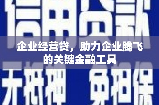 宁武企业经营贷，助力企业腾飞的关键金融工具